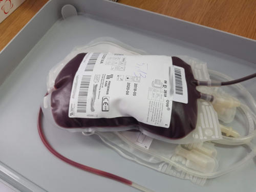 Oddaj krew - uratuj życie 2019
