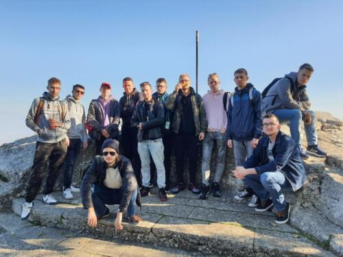 Staże zawodowe w Bolonii