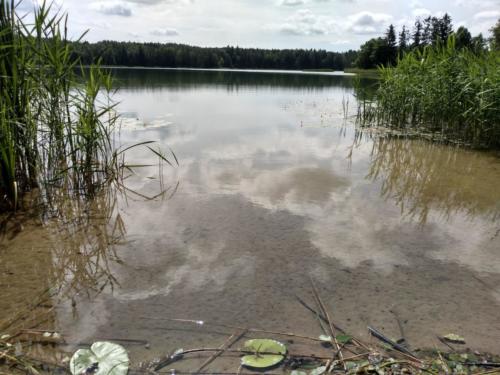 IMG 20190614 102632273 HDR