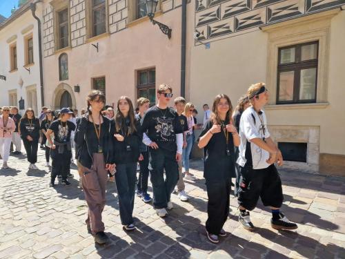 Rollercoaster emocji: Graficy w Małopolsce